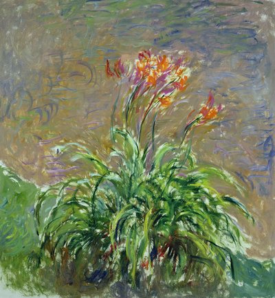 Hemerocallis, 1914-17 af Claude Monet