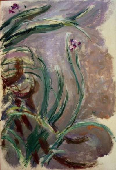 Iris (Iris) af Claude Monet
