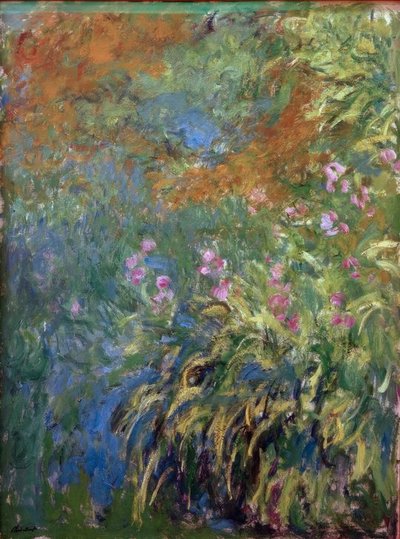 Iris af Claude Monet