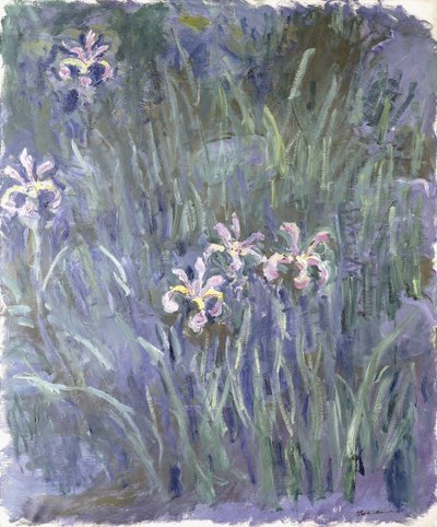 Iris, ca. 1914-1917 af Claude Monet