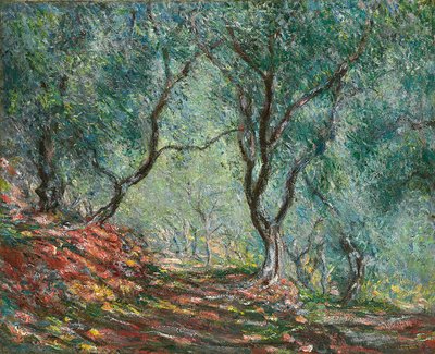 Oliventræer i Moreno-haven; Træ af oliventræer i Moreno-haven, 1884 af Claude Monet