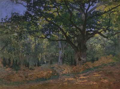 Bodmer-eg, Fontainebleau-skoven af Claude Monet