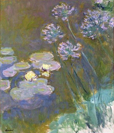 Åkander og Agapanthus af Claude Monet