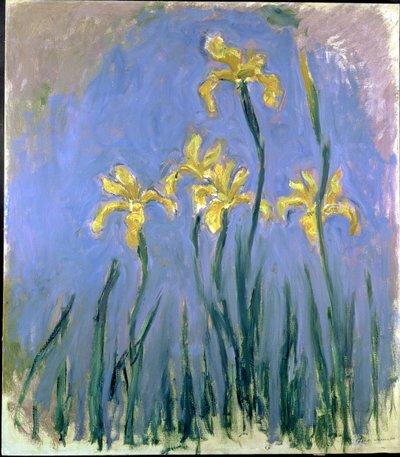 Gule Iriser; Les Iris Jaunes, ca. 1918-1925 (olie på lærred) af Claude Monet