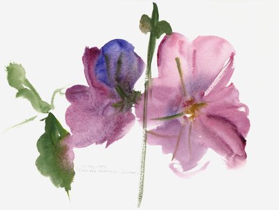 Stokroser, 1988 (akvarel) af Claudia Hutchins Puechavy
