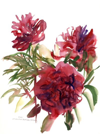 Peonies, 2002 (akvarel) af Claudia Hutchins Puechavy