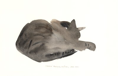 Sovende kat, 1985 (akvarel) af Claudia Hutchins Puechavy