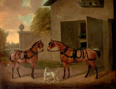 vogne, heste og hunde af Clifton Tomson