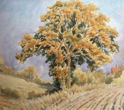 Høstsolnedgang, North Denford af Clive Wilson