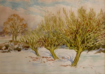 Frugtplantagen, januarsol, 2000 (akvarel) af Clive Wilson