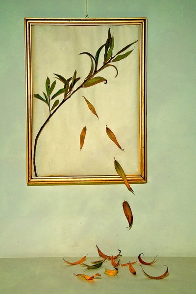  af Codruta Georgescu