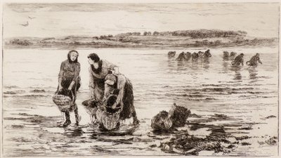Muslingesamlerne af Colin Hunter