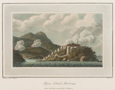 Pigeon Island i Martinique. Litografi (56,6x43,4 cm), af pastor Cooper Willyams (1762-1816) af Cooper (after) Willyams