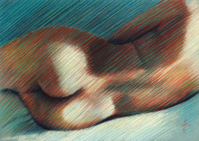 Sensuelle kropskurver af Corné Akkers