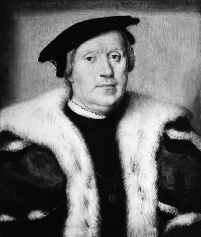 Jean dAlbon de Saint-André 1472-1549. af Corneille de Lyon