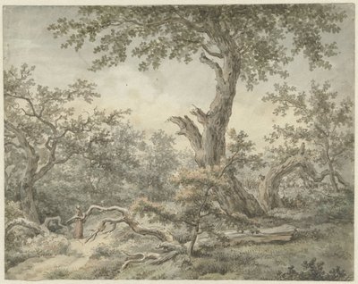 skovlandskab af Cornelis Buys