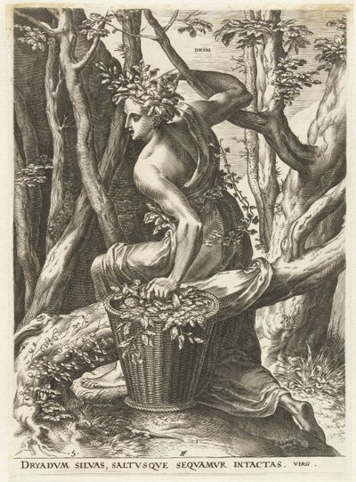 Dryas (titel på objekt) Gudinder og nymfer (serietitel) af Cornelis Cort