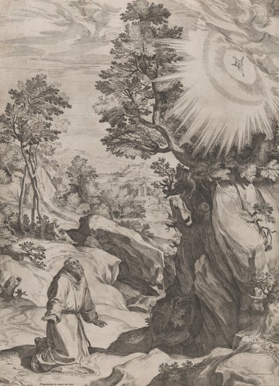 St Francis Penitent in the Wilderness, 1575. af Cornelis Cort