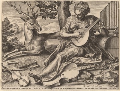 Høring af Cornelis Cort after Frans Floris I