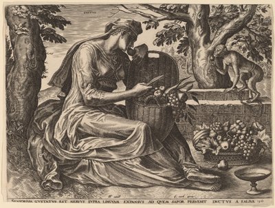 Smag af Cornelis Cort after Frans Floris I