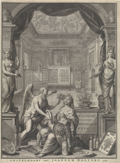 Allegori af naturen af Cornelis Huyberts