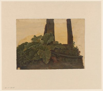 Planter ved foden af ​​en træstamme af Cornelis Johannes de Vogel