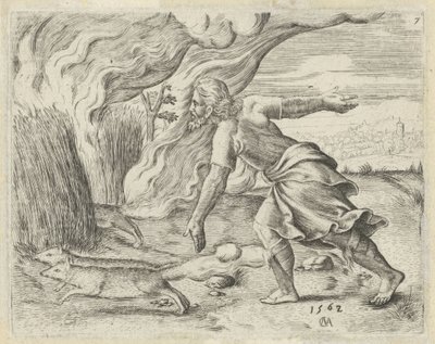 Samson sætter ild til filisternes kornmarker History of Samson (serietitel) af Cornelis Massijs