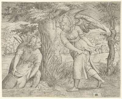 Tobias og fisken Historien om Tobias (serietitel) af Cornelis Massijs