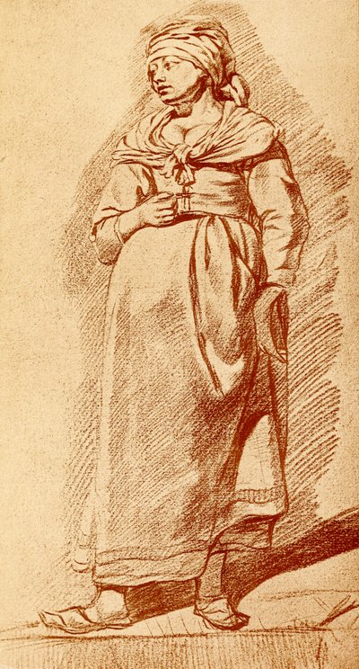 Undersøgelse af en hollandsk landmand af Cornelis Pietersz Bega