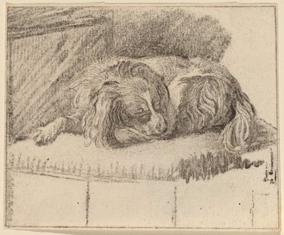 Liggende hund af Cornelis Ploos van Amstel