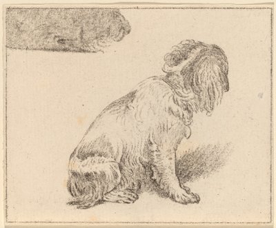 Siddende hund af Cornelis Ploos van Amstel