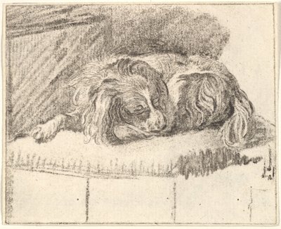 Sovende hund, 1777. af Cornelis Ploos van Amstel
