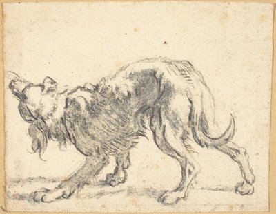En hund af Cornelis Saftleven