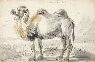 En kamel af Cornelis Saftleven