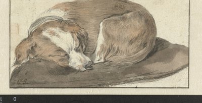 Sovende Hund af Cornelis Saftleven