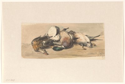 Stilleben med fire ænder af Cornelis Springer