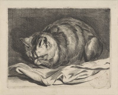 lille kat af Cornelis Visscher (II)