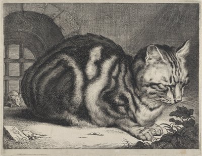 Den store kat af Cornelis Visscher (II)