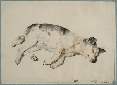  af Cornelis Visscher