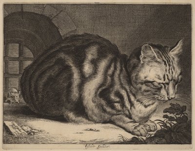 Den store kat af Cornelis Visscher