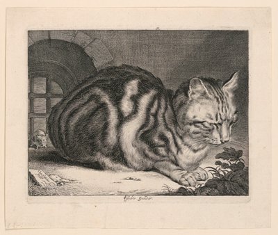 Den store kat af Cornelis Visscher