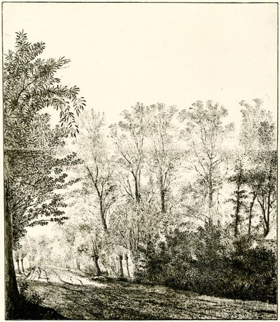Sti gennem en skov af Hendrick Cornelisz. Vroom