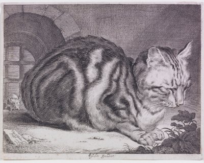 Den store kat af Cornelis de Visscher
