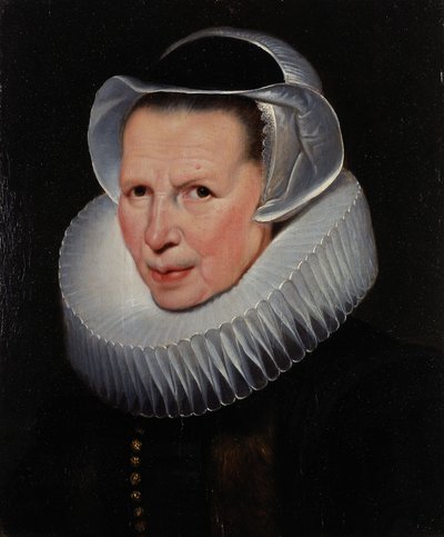  af Cornelis de Vos