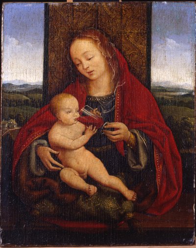 Madonnaen og barnet tronede af Cornelis van Cleve