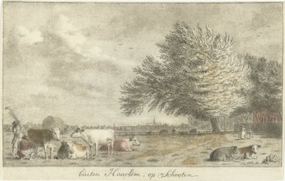 Køer på en eng uden for Haarlem, på Schooten (titel på objekt) af Cornelis van Noorde