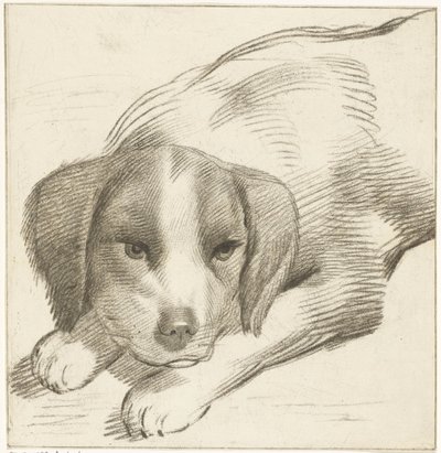 liggende hund af Cornelis van Noorde