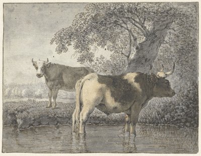 To køer under et træ ved vandet af Cornelis van Noorde