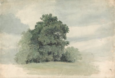 Studie af træer ved kanten af en mark af Cornelius Varley