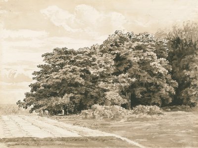 Wrottesley Hall - The Shrubbery: sepia drawing, 1820dani af Cornelius Varley